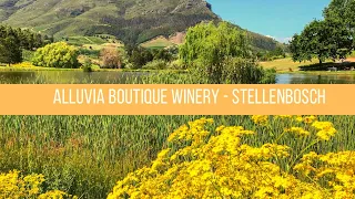 Picnic for Two at Alluvia Boutique Winery in Stellenbosch