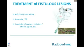 Treatment of Cranial Fistulous Lesions: What is important and why?, Jeroen Boogaarts, MD, PhD