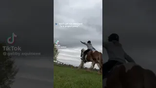 Horse TikTok! 🐴🐎😢