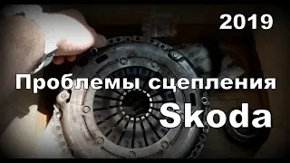 Skoda: Сцепление (2019)