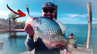 Catching Big Slab Crappie From My Dock!