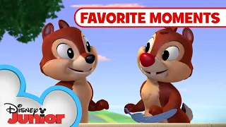 Nutty Tales Compilation Favorite Moments | Chip 'N Dale's Nutty Tales | @disneyjunior