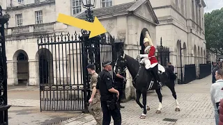 Everything Was Fine Until This Happened to King’s guard horse!!!