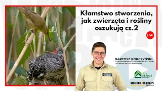 Kłamstwo stworzenia - jak zwierzęta i rośliny oszukują cz.2 / Bartosz Popczyński