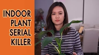 Indoor Plant Serial Killer