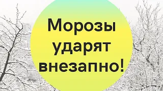 В Украину идут сильные морозы: где похолодает до -13°