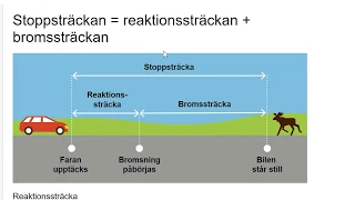 Allt du behöver inför teoriprovet - klara teoriprovet på 4 dagar endast med filmer (Dag 3- del 1)