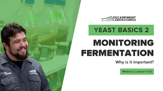 Monitoring Fermentation | Yeast Basics 2: Lecture 3 | Escarpment Labs