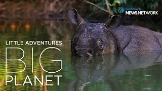 Extraordinary journey to photograph the Javan Rhino