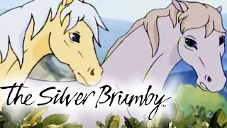 The Silver Brumby | Episodes 11-15 2 HOUR COMPILATION (HD - Full Episode)