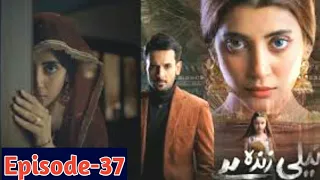 Neeli Zinda Hai Episode 37 - Neeli Zinda Hai Drama - December 9, 2021