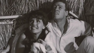 The Professor and Mary Ann - I’ll Keep You Safe - Gilligan’s Island