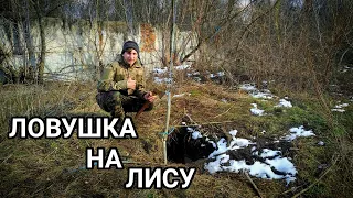 ПОДЪЕМНАЯ ПЕТЛЯ ЛОВУШКА НА ЛИСУ!!!ЕСТЬ ЛИСА!!!