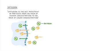 GCSE Biology   Osmosis #8 mp4