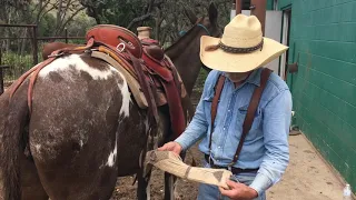 HOW SADDLING A MULE IS DIFFERENT FROM A HORSE