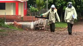 EPIDEMIA DE DENGUE EM PLANALTO