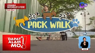 Migs Almendras, sinubukan na maging dog walker in a day | Dapat Alam Mo!