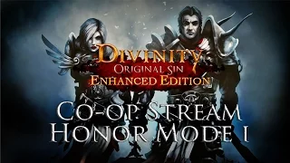 Fextralife Playing Divinty Original Sin EE Honor Mode Co op