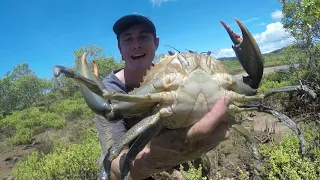 How To Catch And Cook Chilli Mud Crab By Hand.