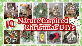 10 Favorite Nature Inspired Christmas DIY Decor || Rustic Christmas Decorations & Ideas