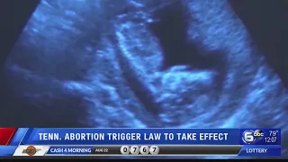 TN abortion trigger law to take effect