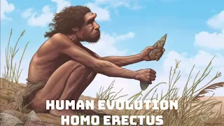Human Evolution: Episode 4 - Homo Erectus