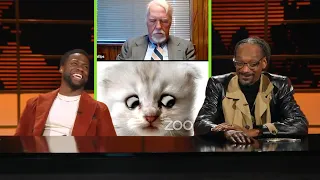 Kevin Hart & Snoop Dogg React to Lawyer Gets Stuck on Zoom kitten filter (I’m not a cat)