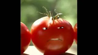The talking tomato twins