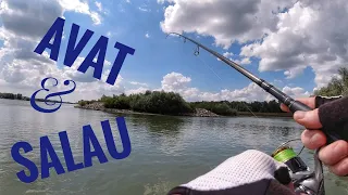 Pescuit la salau si avat pe Dunare 💥💥