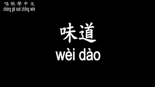 【唱歌學中文】► 辛曉琪 – 味道◀ ► xīn xiǎo qí - wèi dào◀『誰知道一想你 思念苦無藥 無處可逃』【動態歌詞中文、拼音Lyrics】