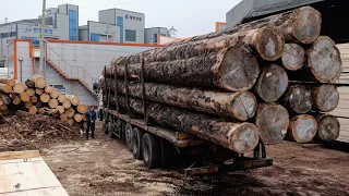 Cutting large pieces of wood and making various products