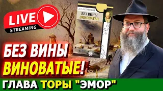 Глава Торы "ЭМОР" | Комментарии к недельной главе | Лекции Байтмана