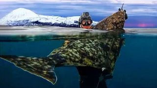 Spearfishing Giant Atlantic Halibut in the FREEZING Arctic!