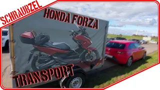 Honda Forza Roller 🛵 auf Hänger transportieren 🚗🛒