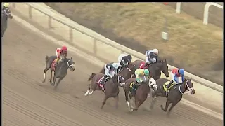 LAUREL PARK 02 11 2024 RACE 4