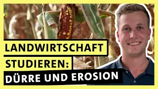 Landwirtschaft studieren: Es geht um die Zukunft meiner Felder! | alpha Uni