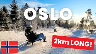 SLEDDING the Korketrekkeren (the Corkscrew) in OSLO, NORWAY