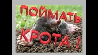 Кротоловка из трубы своими руками! ( как поймать крота?)