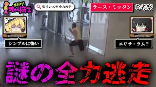 【未解決事件】監視カメラに映る謎の全力失踪ラース・ミッタンを考察【ゆっくり解説】