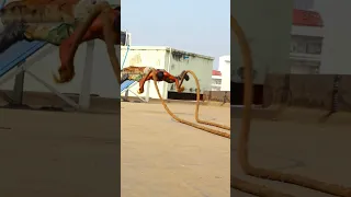 ❤️Battle rope with Superman push up❤️#viral #trending #specialforces #commando