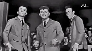Dion & The Belmonts - A Teenager In Love (1959)