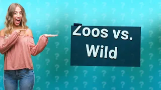 Are animals better off in zoos or in the wild?