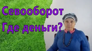 Севооборот на ферме или даче. Что можно сажать?