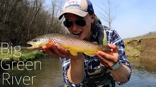 WILD BROWN TROUT ON THE DRY FLY (Fly fishing Big Green River, Wisconsin Driftless)