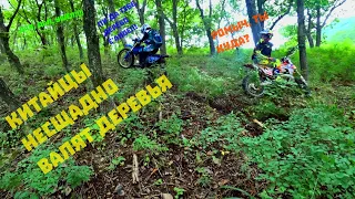 Regulmoto sport 003 против дерева, кто сильнее? Yamaha WR450F, KTM EXC300, Honda XR250. Покатушки)