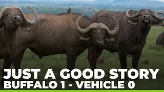 Just a GOOD story | Buffalo 1 - Vehicle 0