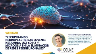 Recuperando neuroplasticidad juvenil Ketamina luz 60Hz y microglía eliminación redes perineuronales