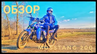 ОБЗОР НА ПАЦАНСКИЙ МОТОЦИКЛ MUSSTANG REGION 200 2020 ГОДА ВЫПУСКА