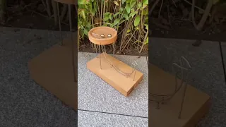 🔥  Product Link in the Comments! 🔥 Perpetual Motion Kinetic Art Science Toy