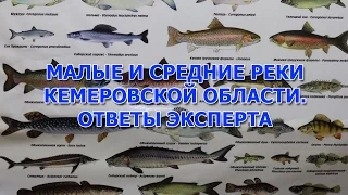 Малые и средние реки Кемеровской области. ответы эксперта